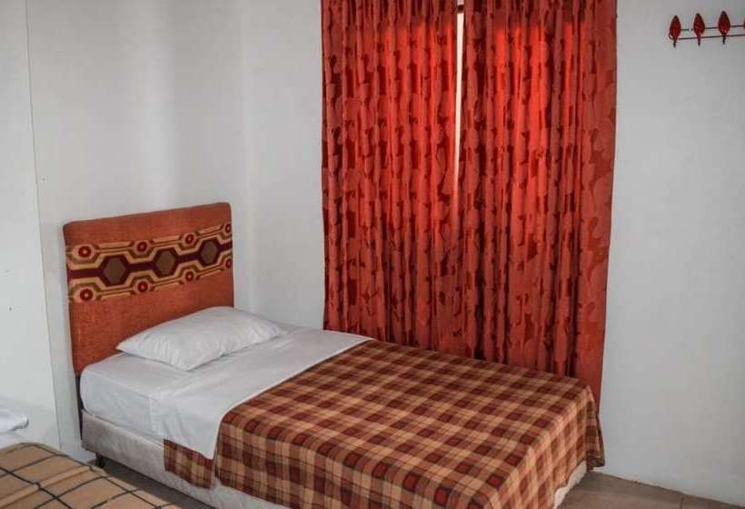 هاستل Hostal Humpback Internacional