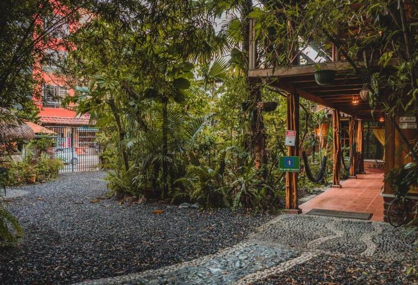 فندق صغير Hostal Las Palmas