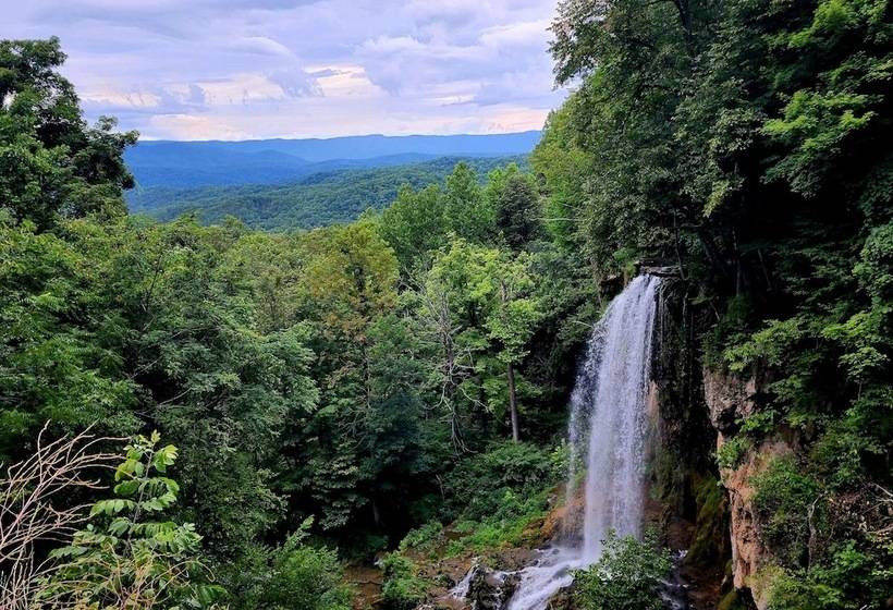 旅馆 Vine Cottage Inn