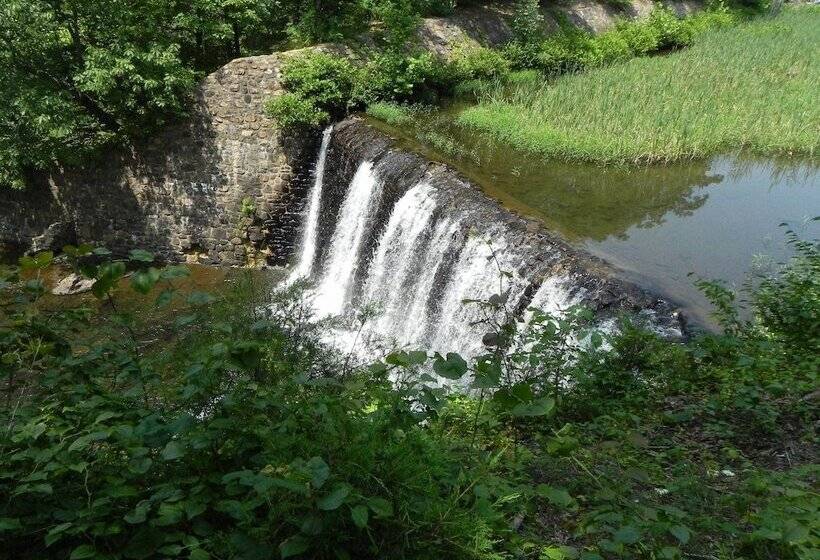 旅馆 Vine Cottage Inn