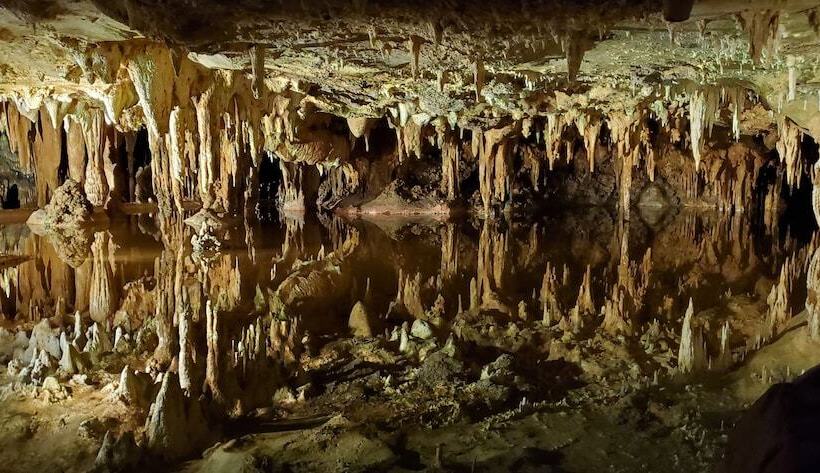 旅馆 Vine Cottage Inn