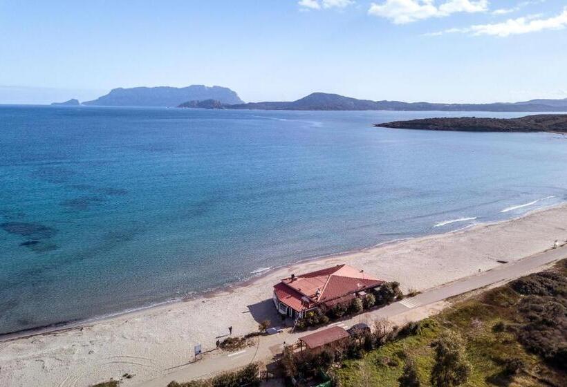 Le Dimore Di Nettuno   Happy Rentals