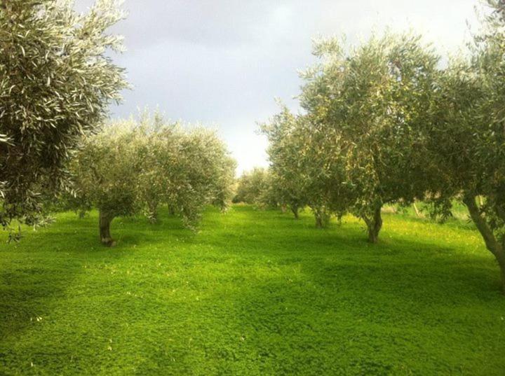 בית מלון כפרי Ridocco Agriturismo