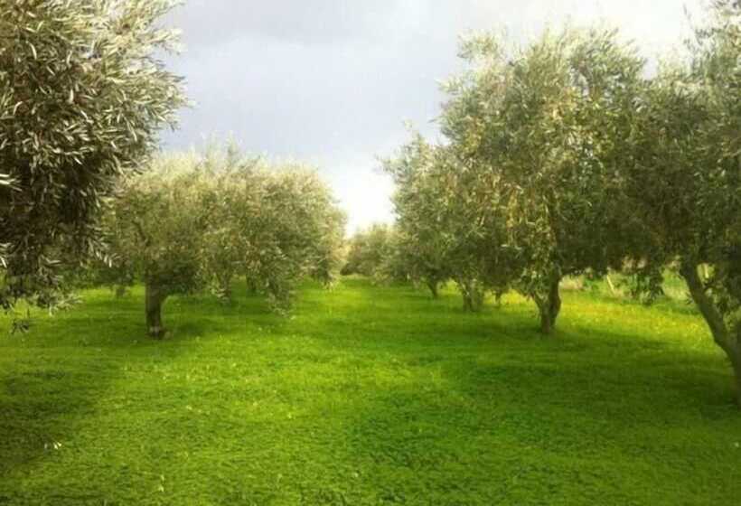 בית מלון כפרי Ridocco Agriturismo