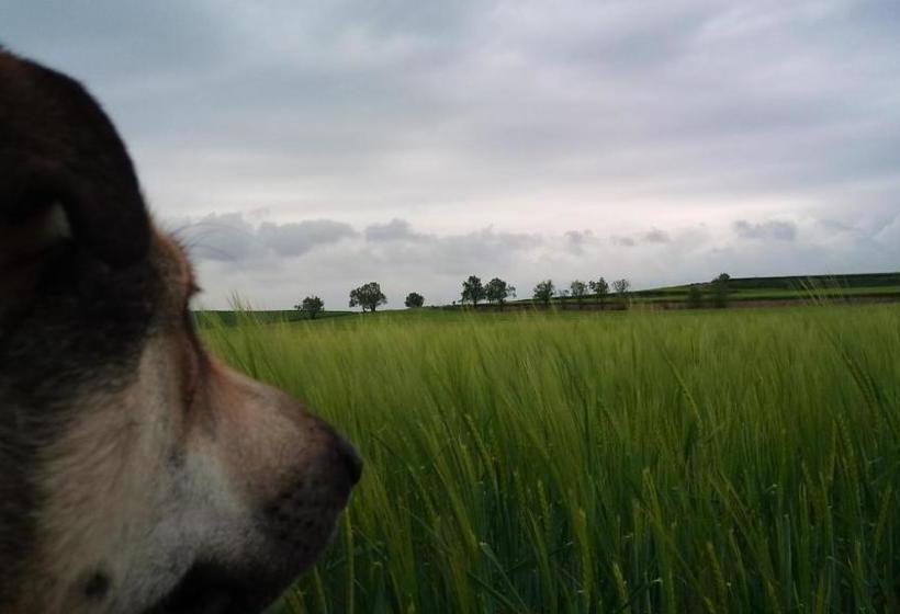 Pension Masía Cal Guim