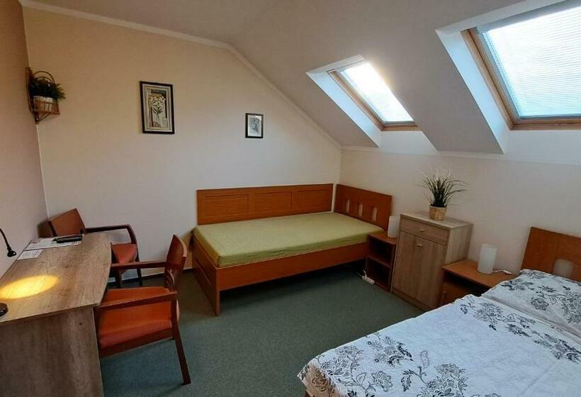 پانسیون Penzion Aida Ostrava