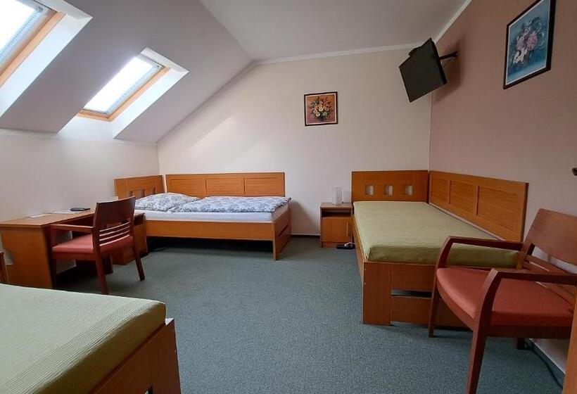 پانسیون Penzion Aida Ostrava