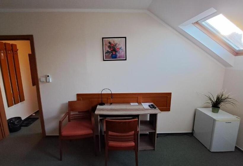 پانسیون Penzion Aida Ostrava