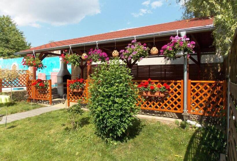 پانسیون Penzion Aida Ostrava