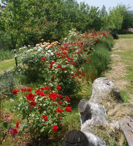 בית מלון כפרי Due Piani