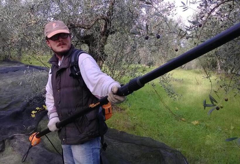 בית מלון כפרי Due Piani