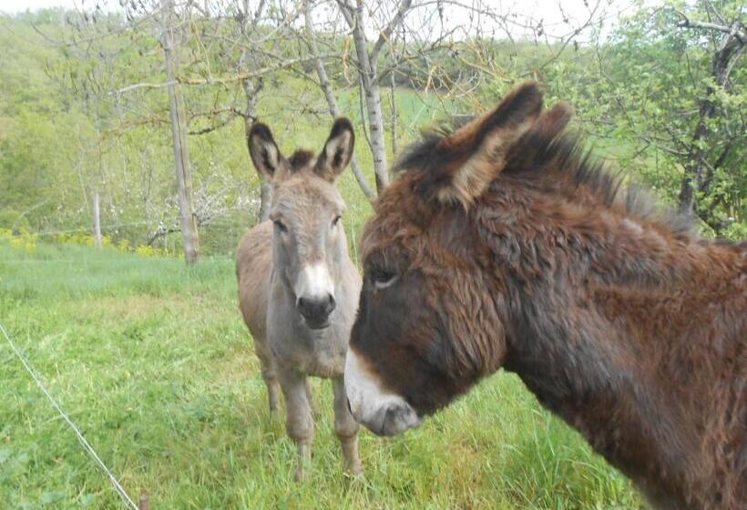 膳宿费 Gîte Des Monts