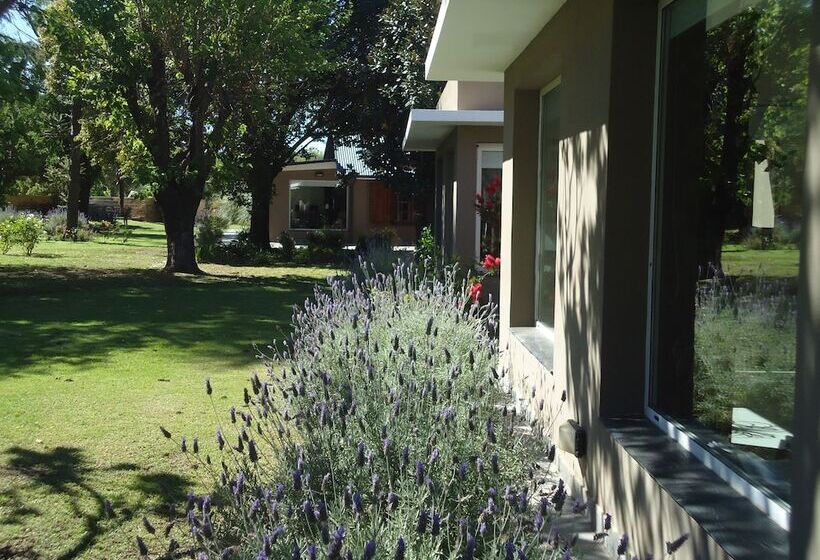 فندق صغير De Campo Posada La Esperanza