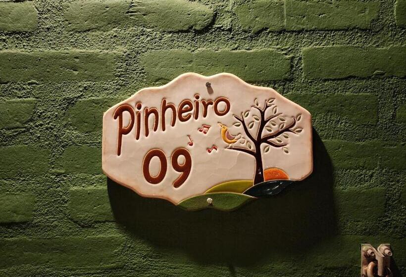 بنسيون Pousada A Mata Que Canta