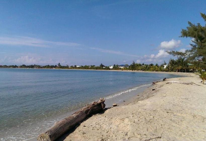 فندق صغير Village Inn