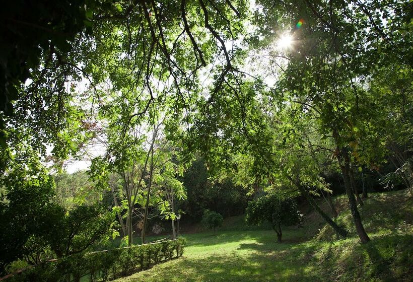 Отель Agriturismo La Vecchia Quercia