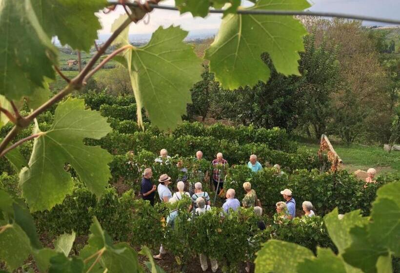 هتل Merumalia Wine Resort