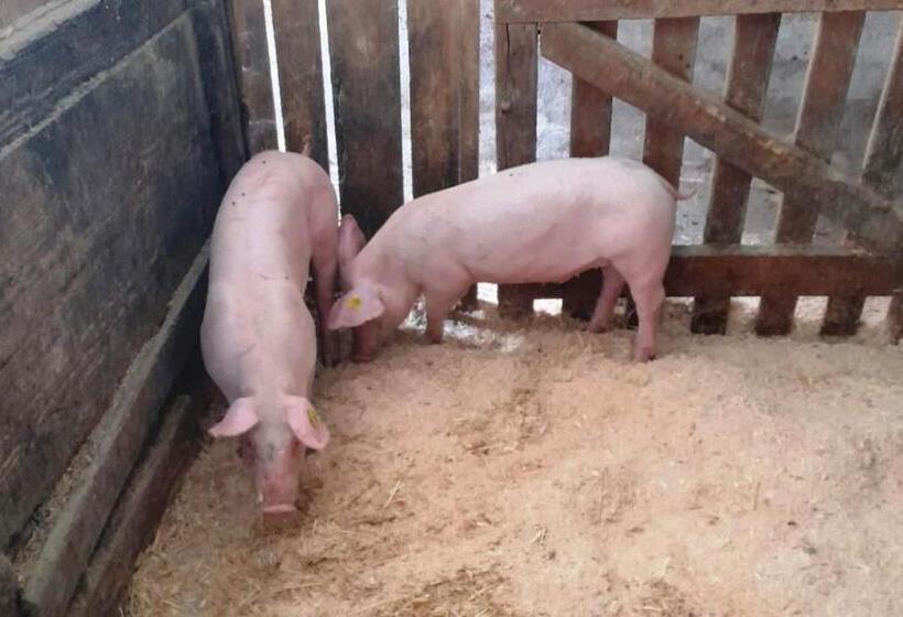 فندق Prechtlhof In Flachau