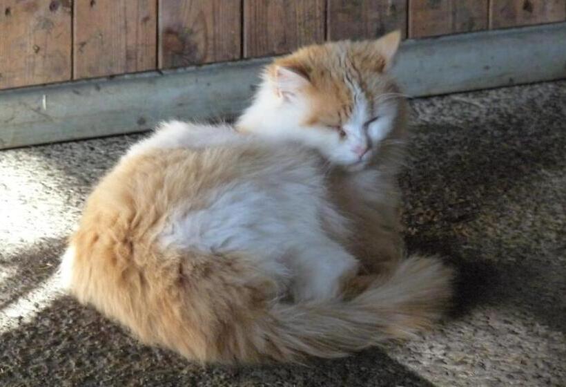 فندق Urlaub Am Bauernhof Rothof