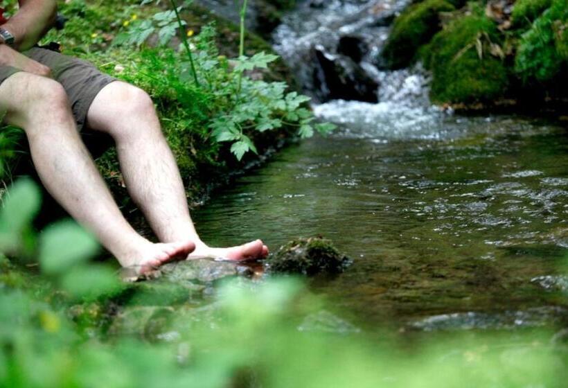 펜션 Paradies Im Schwarzwald