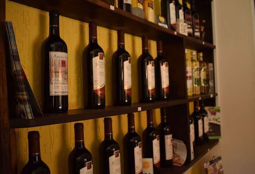 פנסיון Pousada Colonetti