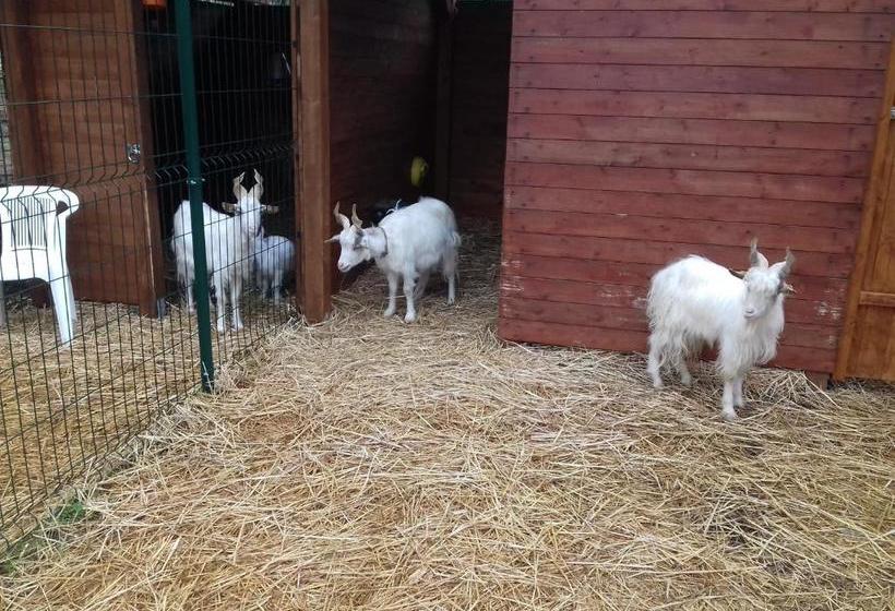 בית מלון כפרי Agriturismo Specchiarussa