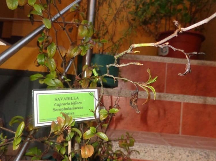 پانسیون Hostal Casa Cascada