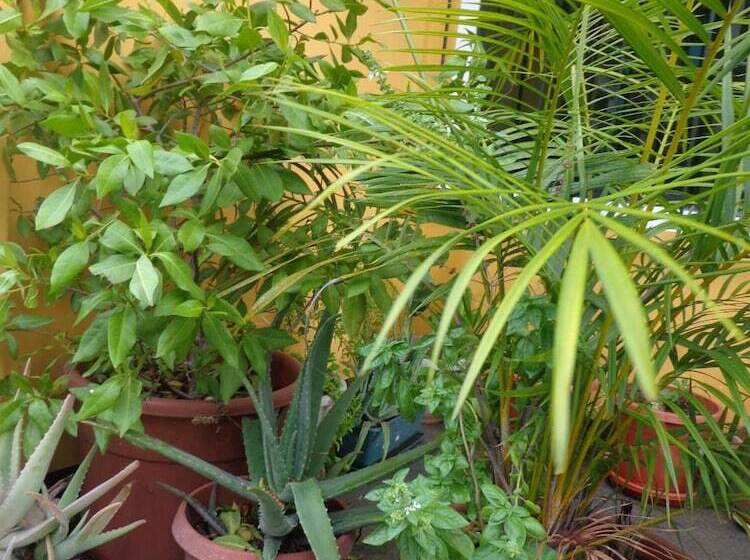 پانسیون Hostal Casa Cascada