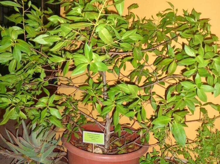 پانسیون Hostal Casa Cascada