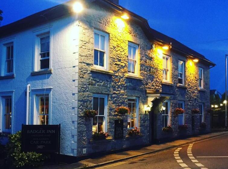 ユースホステル The Badger Inn