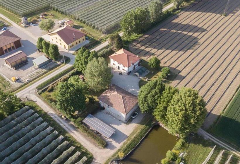 Отель Agriturismo Il Bio Nonno