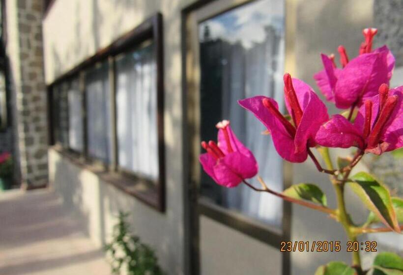 بنسيون Hostal Boutique 180 Grados