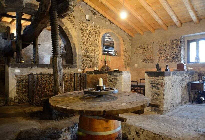 بنسيون Il Tanaceto