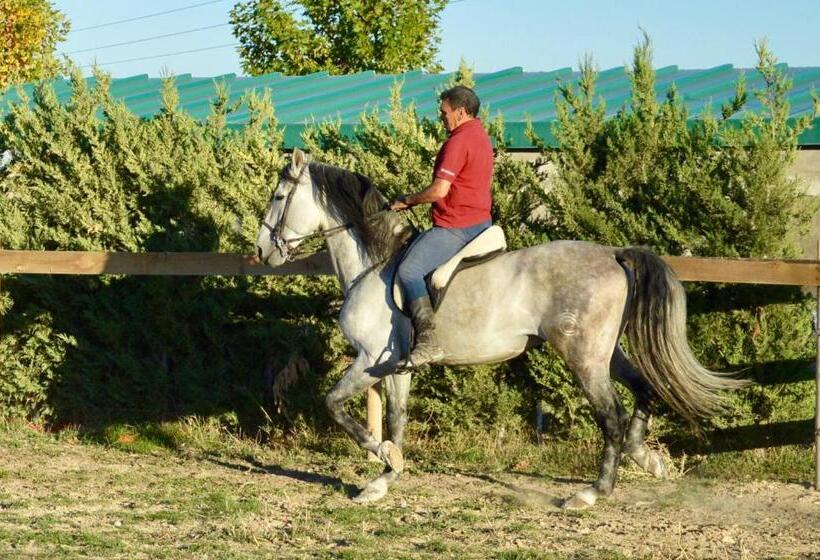 פנסיון Rural Reillo Alojamientos Rurales