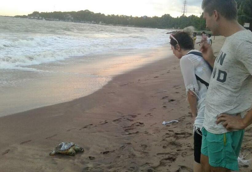 פנסיון Sasagara Beach Villa