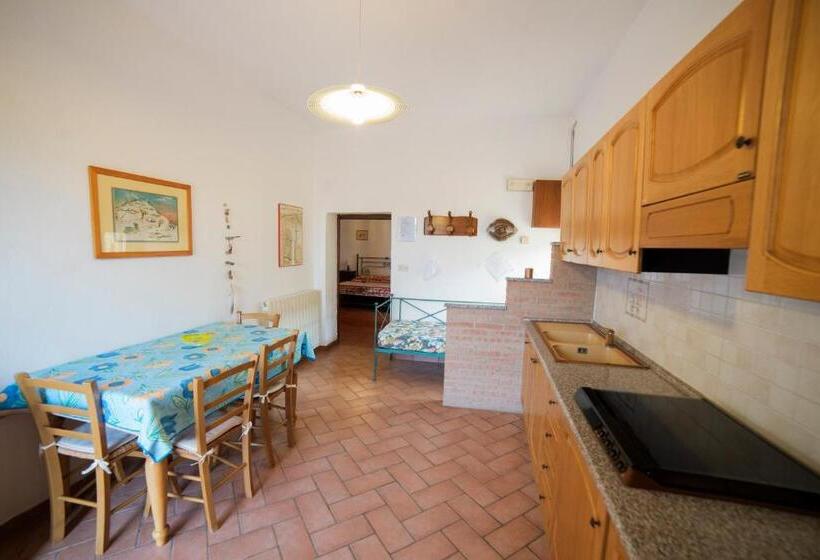 ホテル Agriturismo Greppo All Olivo