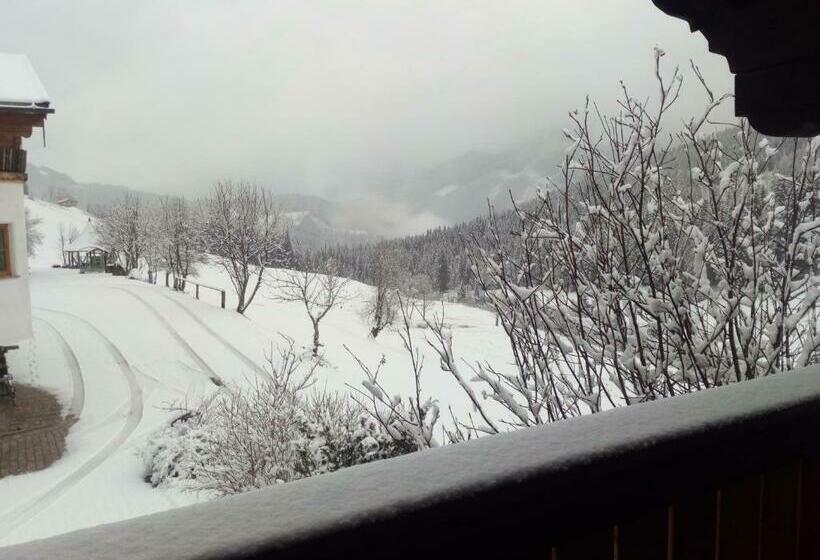 فندق Gsenghof