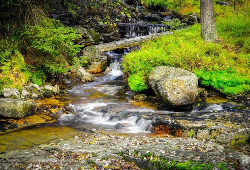 پانسیون Harrachovská Hacienda