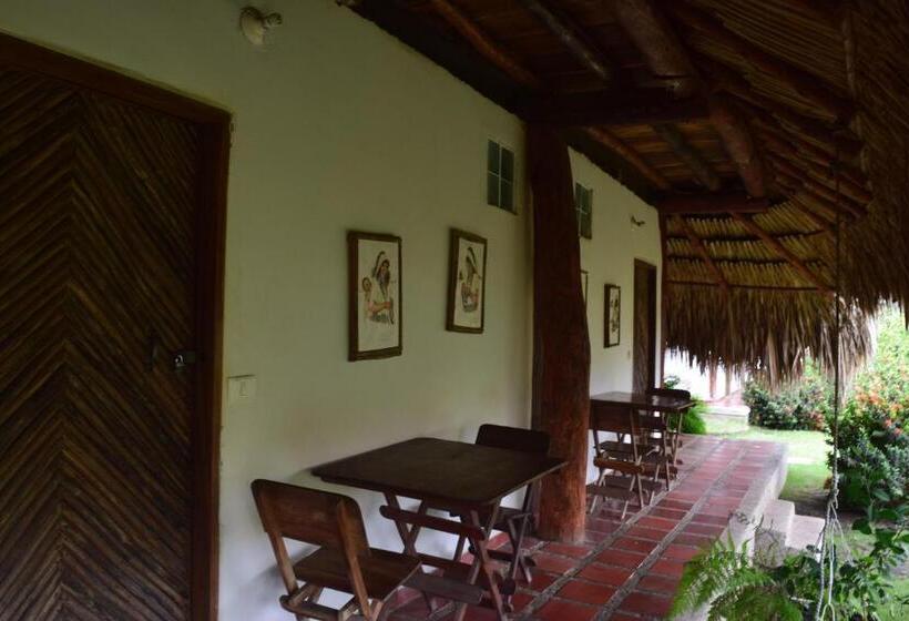 پانسیون Palomino Breeze Hostal