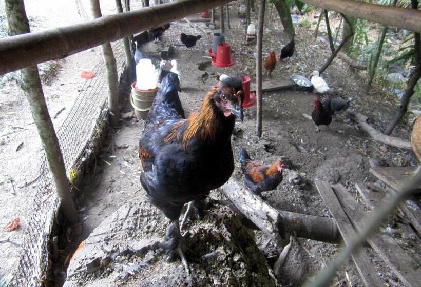 هاستل La Posada Del Cucú