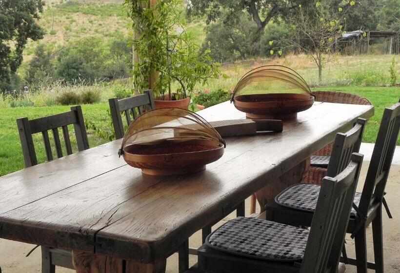 호텔 Agriturismo Sugheretello