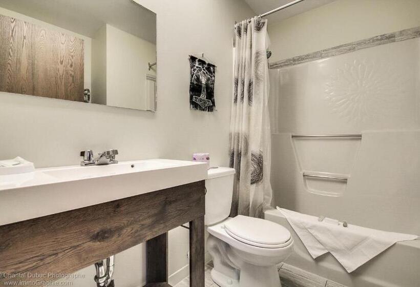 ユースホステル Auberge Motel Drakkar