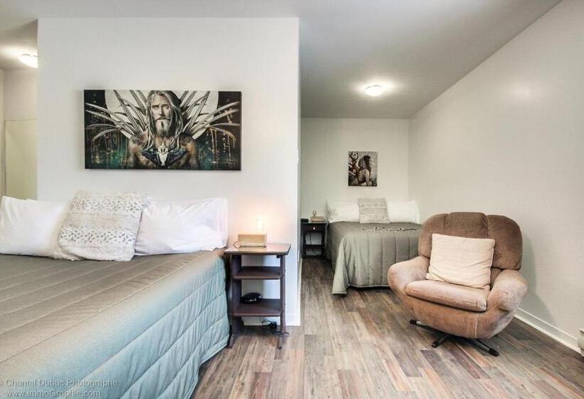 ユースホステル Auberge Motel Drakkar