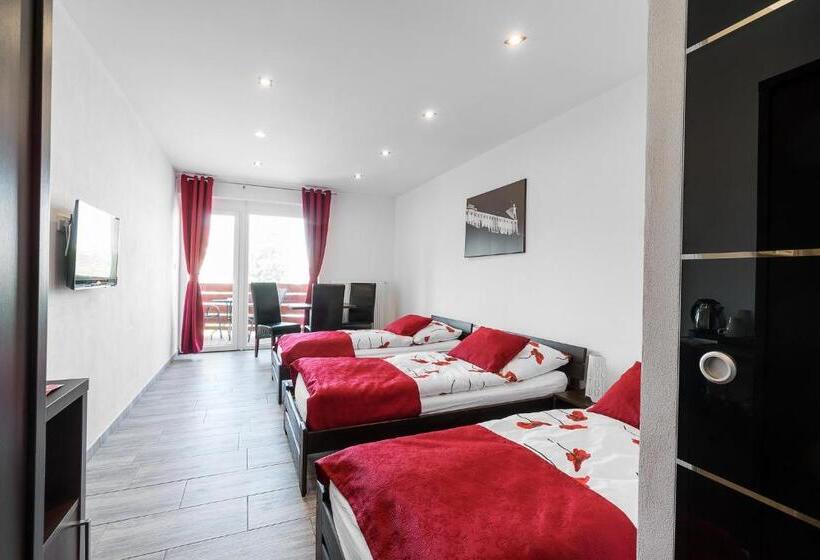 پانسیون Apartments Benešova 6