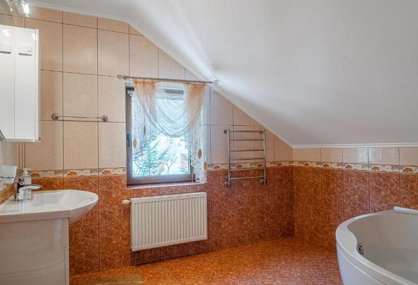 פנסיון Villa Alpiyka