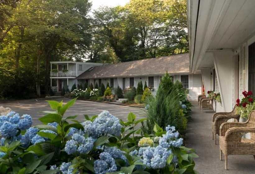 旅馆 Treehouse Lodge