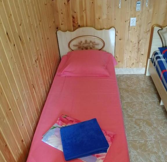 پانسیون Orhidea Guest House