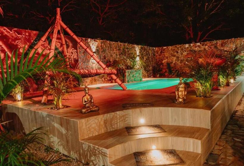 پانسیون Kasakolà