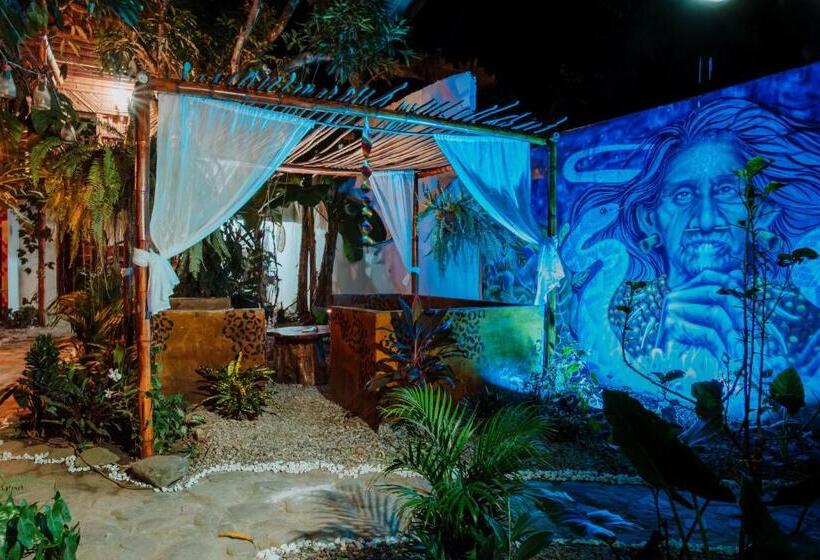 پانسیون Kasakolà