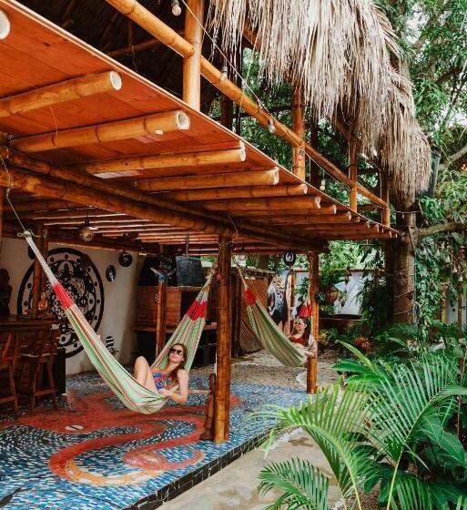 پانسیون Kasakolà